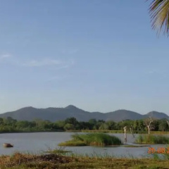 Goyagala Lake Resort thumbnail 4