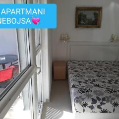 Apartments Nebojša in Sokobanja, Serbia from 94$, photos, reviews - zenhotels.com photo 48