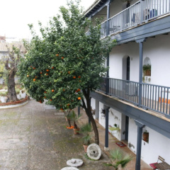 Corral del Conde - Bild 9