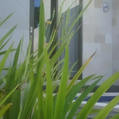 Pecatu Palm Villas - Bild 3