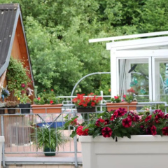 Post Pension - Bild 12