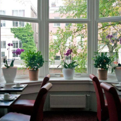 Hotel Allure - Bild 17
