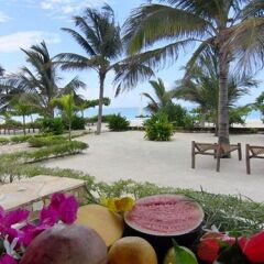 Next Paradise Boutique Resort in Pwani Mchangani, Tanzania from 295$, photos, reviews - zenhotels.com photo 29