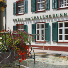 Zum Spalenbrunnen - Bild 1
