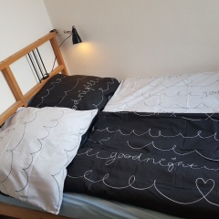 Apartment im Luisenviertel - Grün - Bild 2