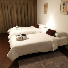 Swiss Apartments Interlaken thumbnail 4