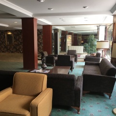 Boyuguzel Termal Hotel - Bild 2