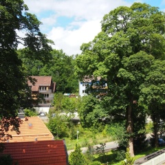 Apartment Harzgrün 2 - Bild 11
