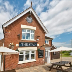 The Stag thumbnail 1