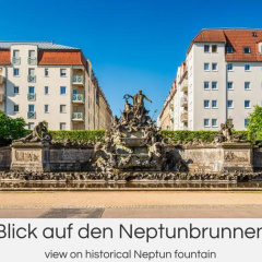 Grüne Oase - Bild 3