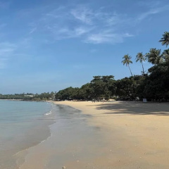 Palm Resort Krabi - Bild 11