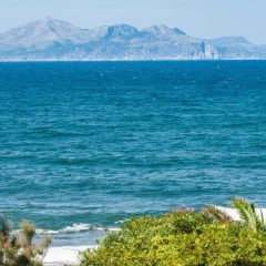 Tornasol - Bild 7