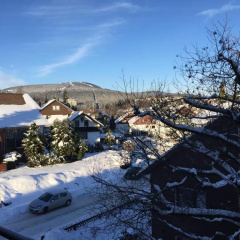 Hexe I - mit Blick auf den Wurmberg thumbnail 26