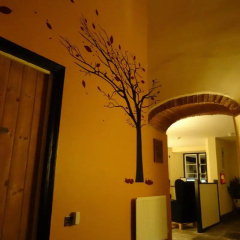 Old Manor House B&B thumbnail 10