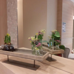 Hotel Marco Polo - Bild 11