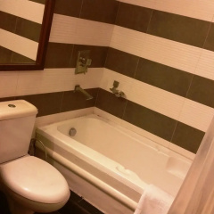 Tavisha Villa thumbnail 25
