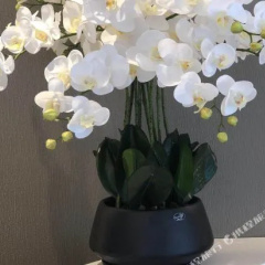 Xiamen Ruxiang Hotel thumbnail 19
