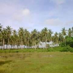 Sunanta Bungalow - Bild 22