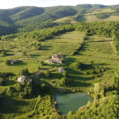 Agriturismo Podere Tegline thumbnail 5
