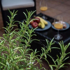 White Swan Boutique Apartments - Bild 11