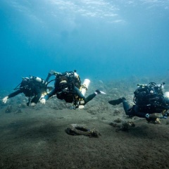 Alba Tulamben - Bild 6