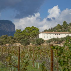 Finca Banyols, Vignette Collection by IHG - Bild 16