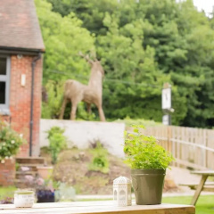 The Roebuck Inn Wickham thumbnail 12