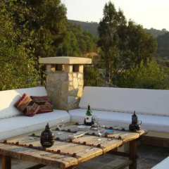 Almond Tree - Bild 7