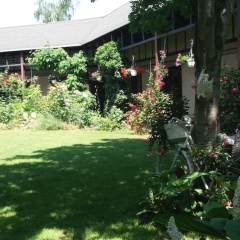 Pension im Adventhaus - Bild 10