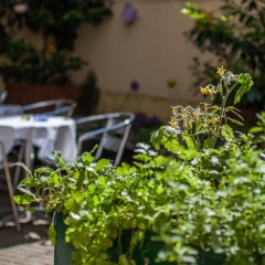 BoutiqueHOTEL Donauwalzer - Bild 20
