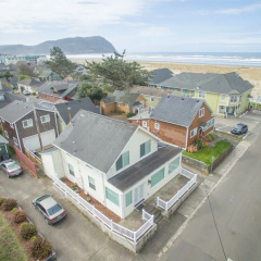 Sand Dollar thumbnail 15
