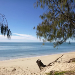 Woodgate Beach Houses thumbnail 4