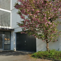 criston apartments - central living P - Bild 1