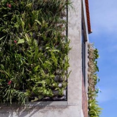 Villa Ixora - Bild 1