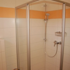 Zaunkönig 1. - Bild 9