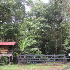 Yatama Ecolodge Sarapiqui thumbnail 4