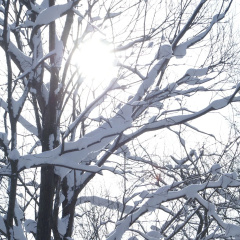 Yumoto Niseko Prince Hotel Hirafutei thumbnail 17
