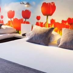 ibis Styles Amsterdam City - Bild 4