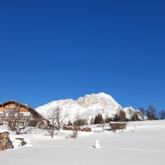 Bauernhof Vorderstiedler - Bild 3