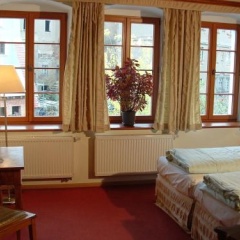 Dreibeiniger Hund Hotel  Gasthof - Bild 1