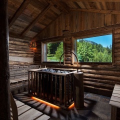 Alm- & Wellnesshotel Alpenhof - Bild 20