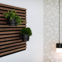 Urban Jungle Apartments - Bild 19