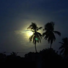 The Residence Nilaveli thumbnail 13