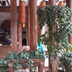 Lijiang Xianshe House thumbnail 15