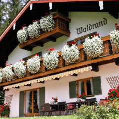 Landhaus am Waldrand - Bild 1