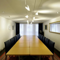 Merian Basel Hotel - Bild 13