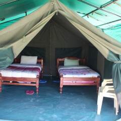 Cactus Eco Camp and Lodge in Nakuru, Kenya from 60$, photos, reviews - zenhotels.com photo 3