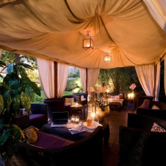 Fenix Hotel - Bild 11