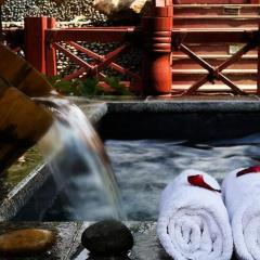 Country Garden Phoenix Hotel Tianjin photo 4