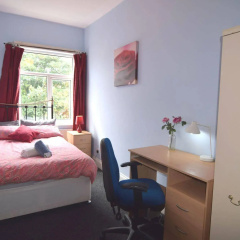 Manu's Guesthouse thumbnail 33